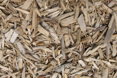 biomass boilers Chilcomb